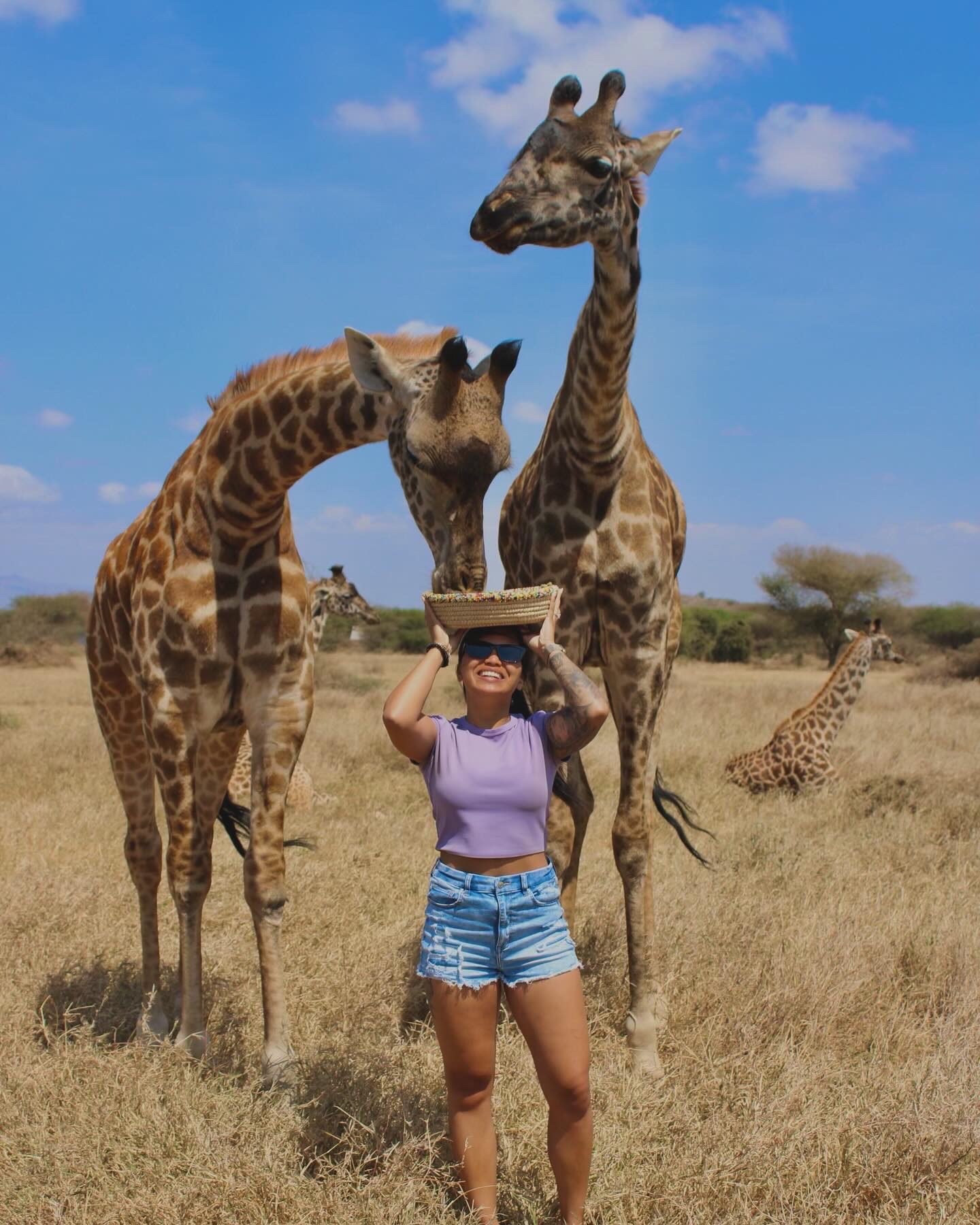 Jea Breshears, Journeys with JB